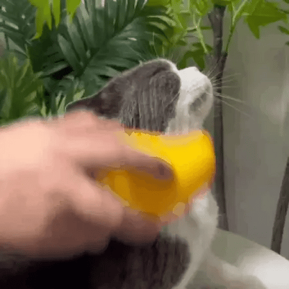 Rechargeable Steam Pet Brush for Pet Bathing