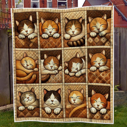 Cute Smiling Cat Blanket - D272 - Premium Blanket