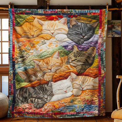 Slumbering Kitties Blanket - H258 - Cat Premium Blanket