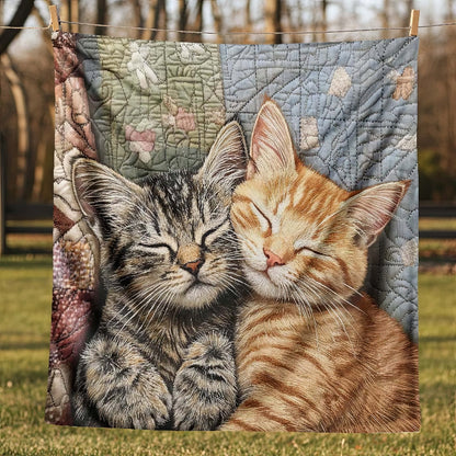 Sweet Kitty Snuggles Blanket - H262 - Cat Premium Blanket