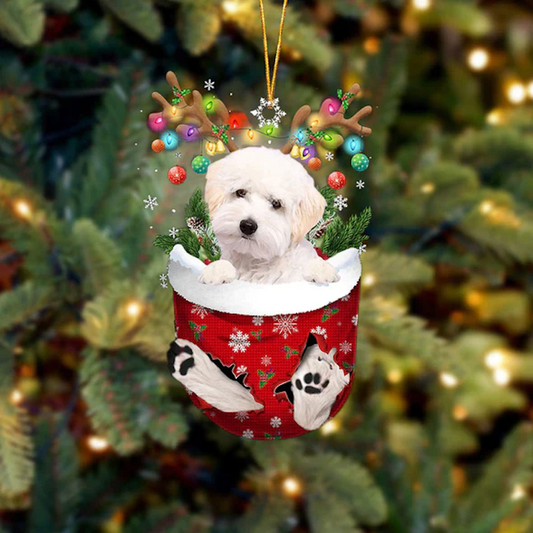 Maltipoo In Snow Pocket Christmas Ornament SP054