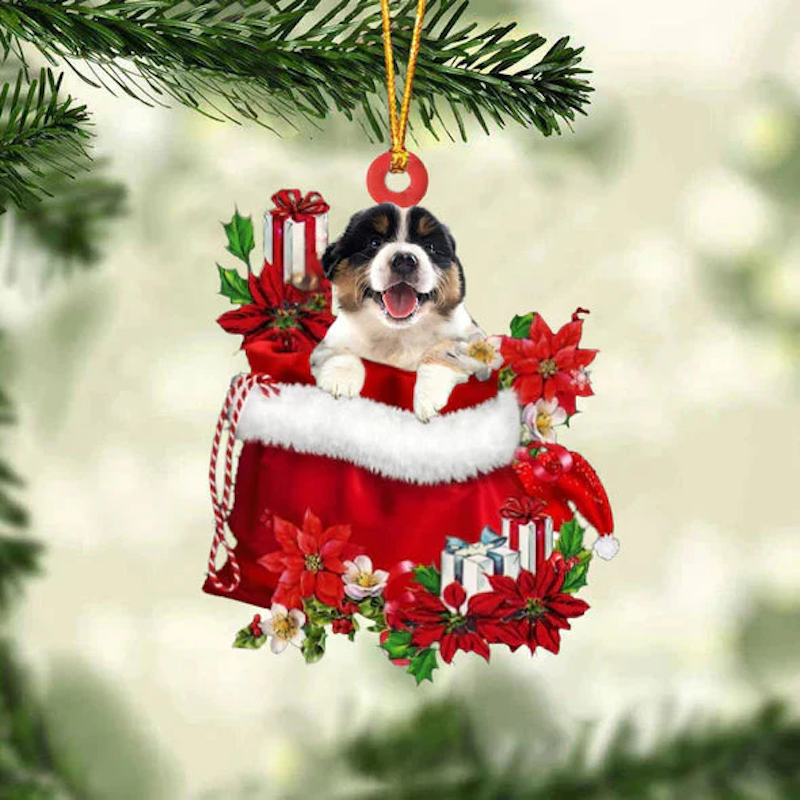 Australian Shepherd In Gift Bag Christmas Ornament GB109