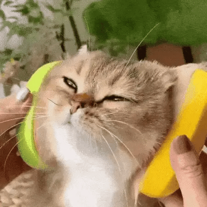 Rechargeable Steam Pet Brush for Pet Bathing