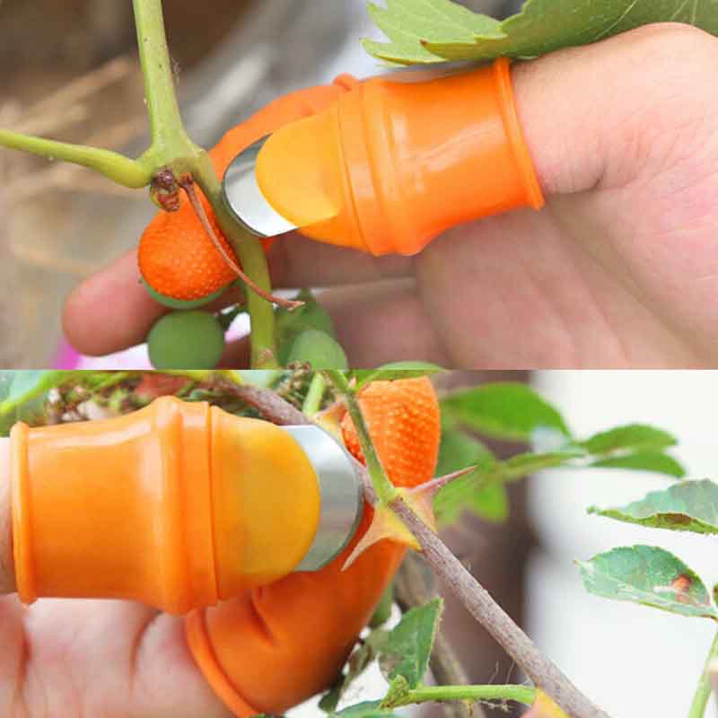 Harvesting Thumb Knife (Buy 5 Get 3 Free+FREE Shipping)