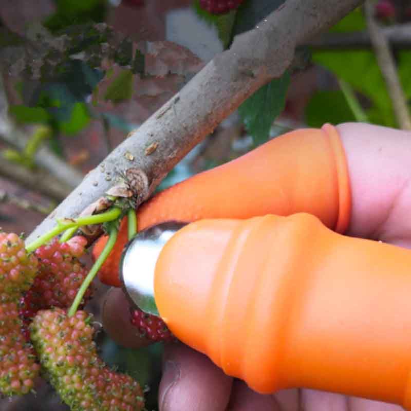 Harvesting Thumb Knife (Buy 5 Get 3 Free+FREE Shipping)