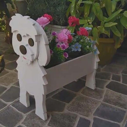 Maltese Planter AP040